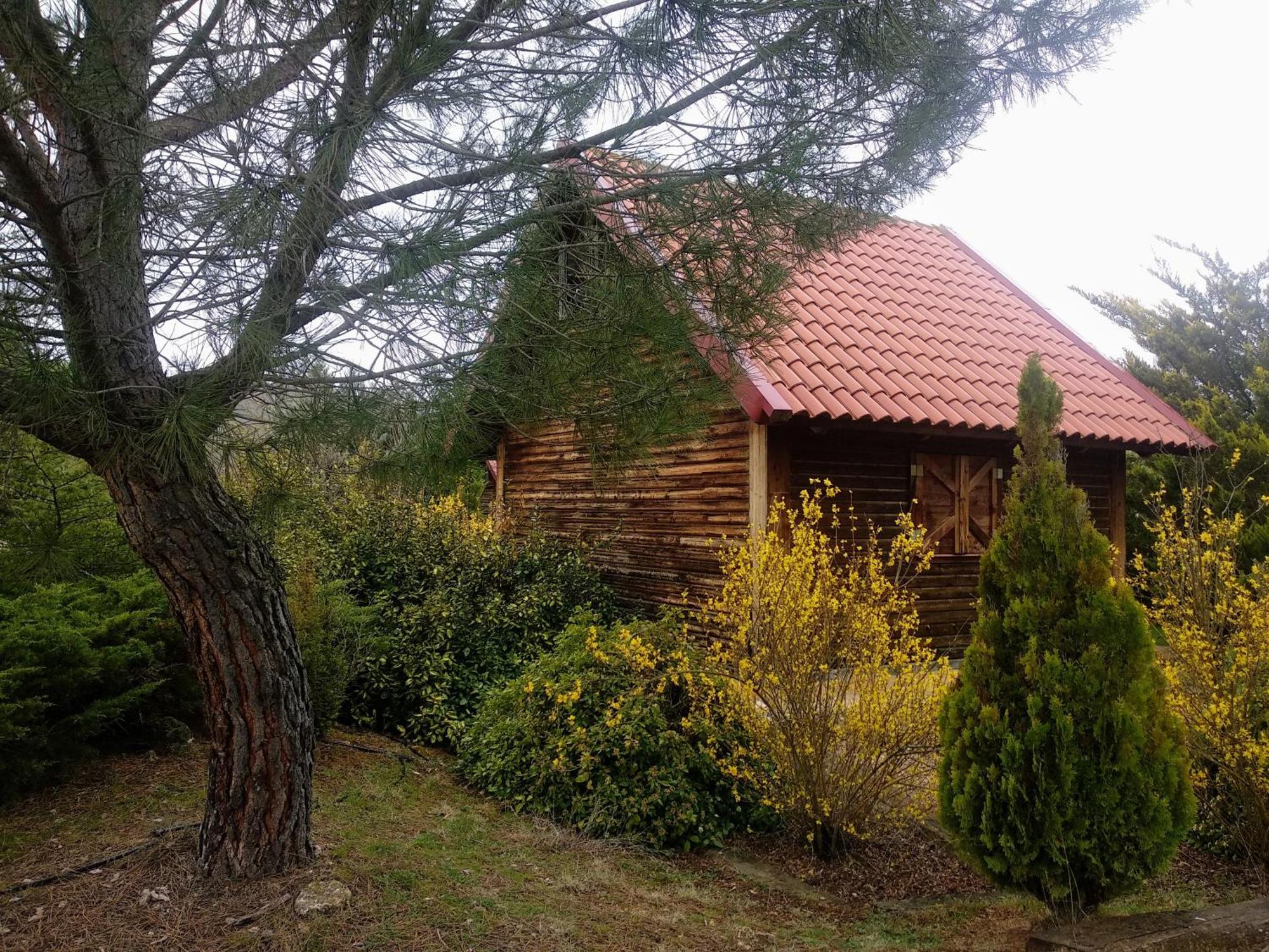 El Muerdago De Canada Guest House Canada del Hoyo ภายนอก รูปภาพ