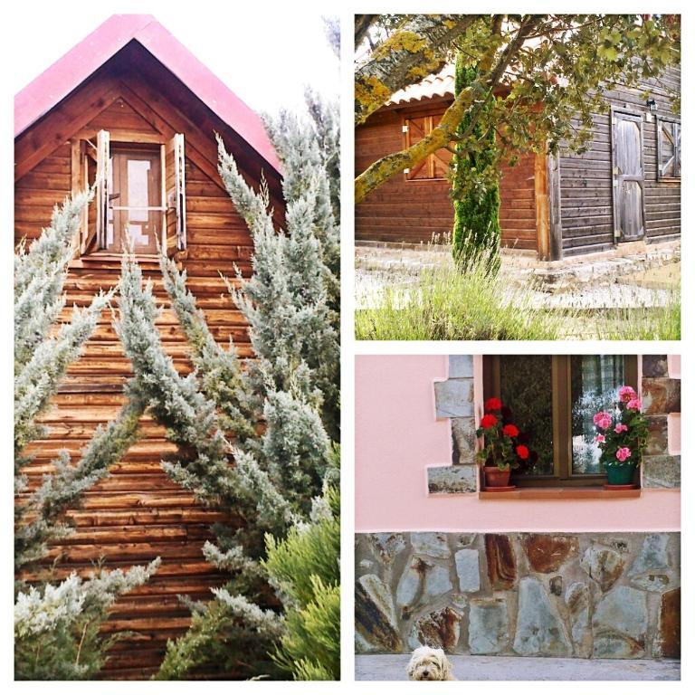 El Muerdago De Canada Guest House Canada del Hoyo ภายนอก รูปภาพ